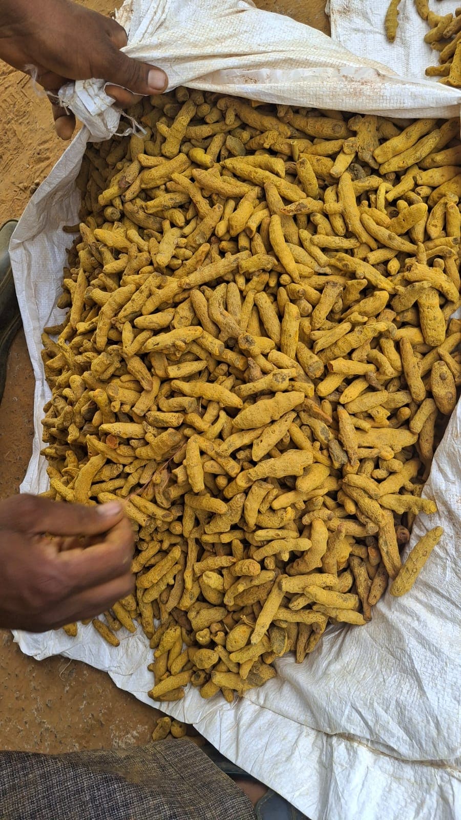 Cumin seeds displayed in hand