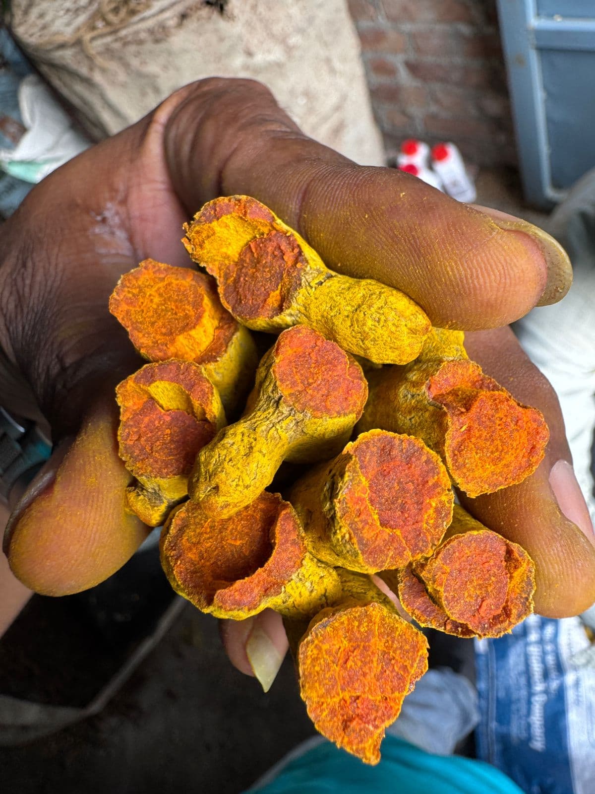 Turmeric fingers in a bulk sack