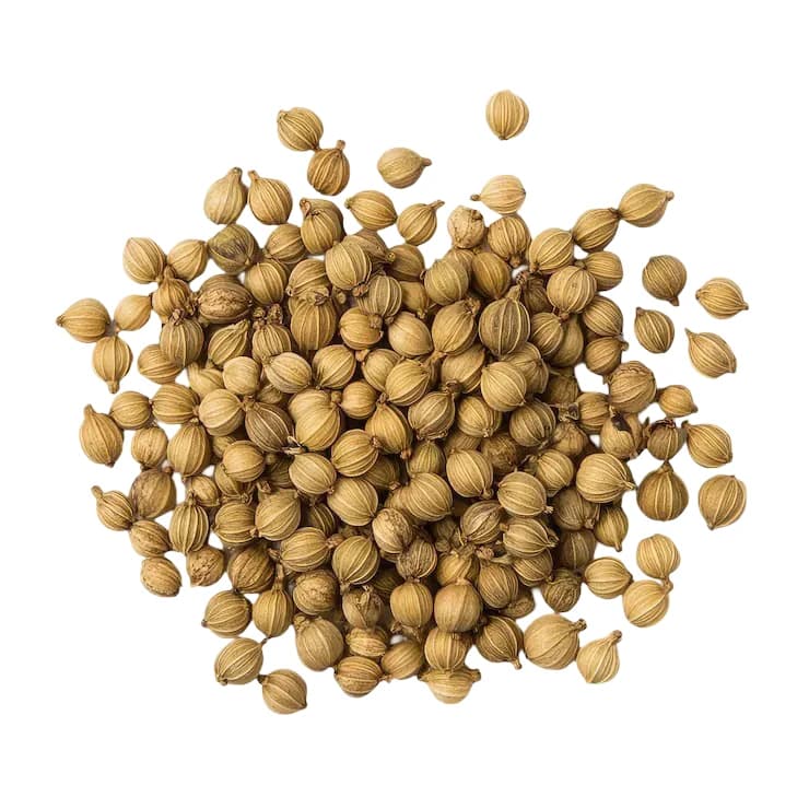 Coriander Seeds